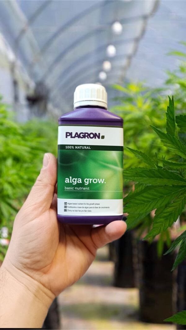 Plagron  Alga grow 250ml