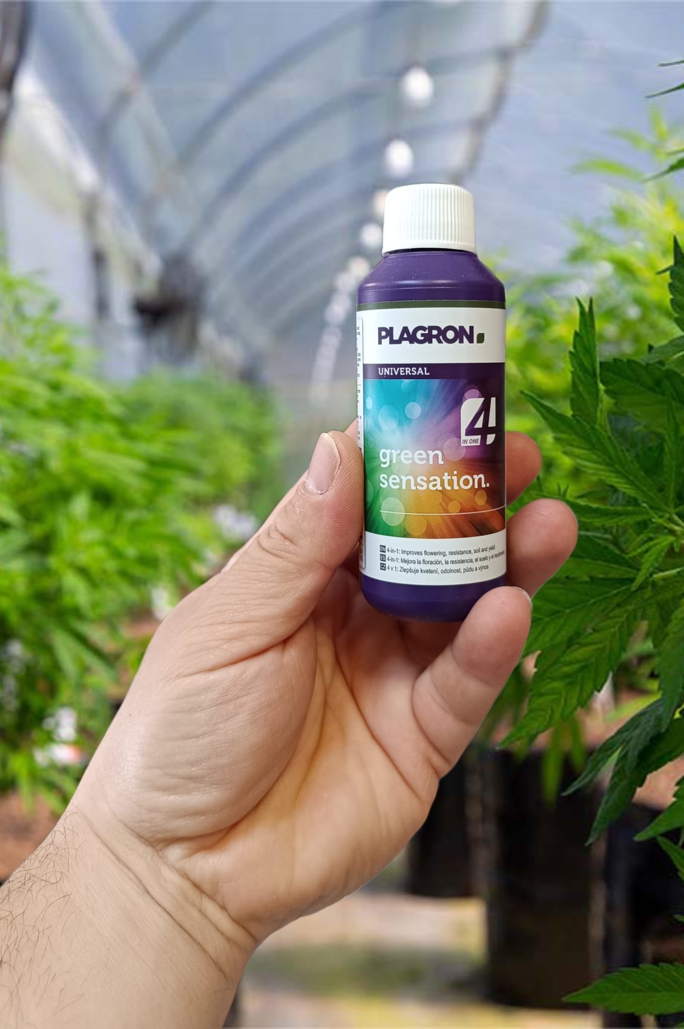 Plagron - Green sensation 100ml