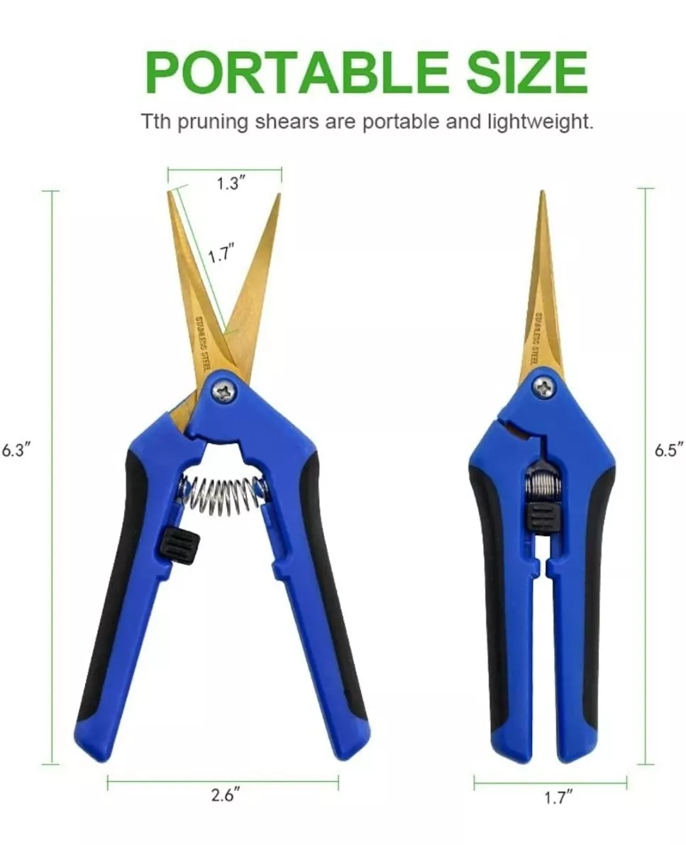 Tijera punta curva - Imagen 2