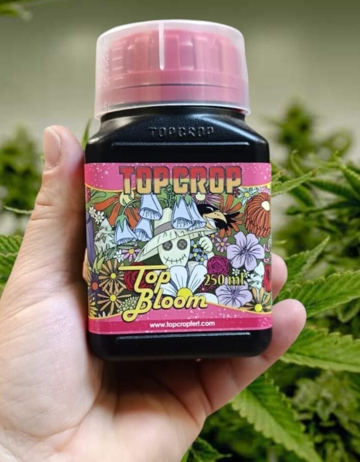 Top Bloom 250ml - 1L - Imagen 2
