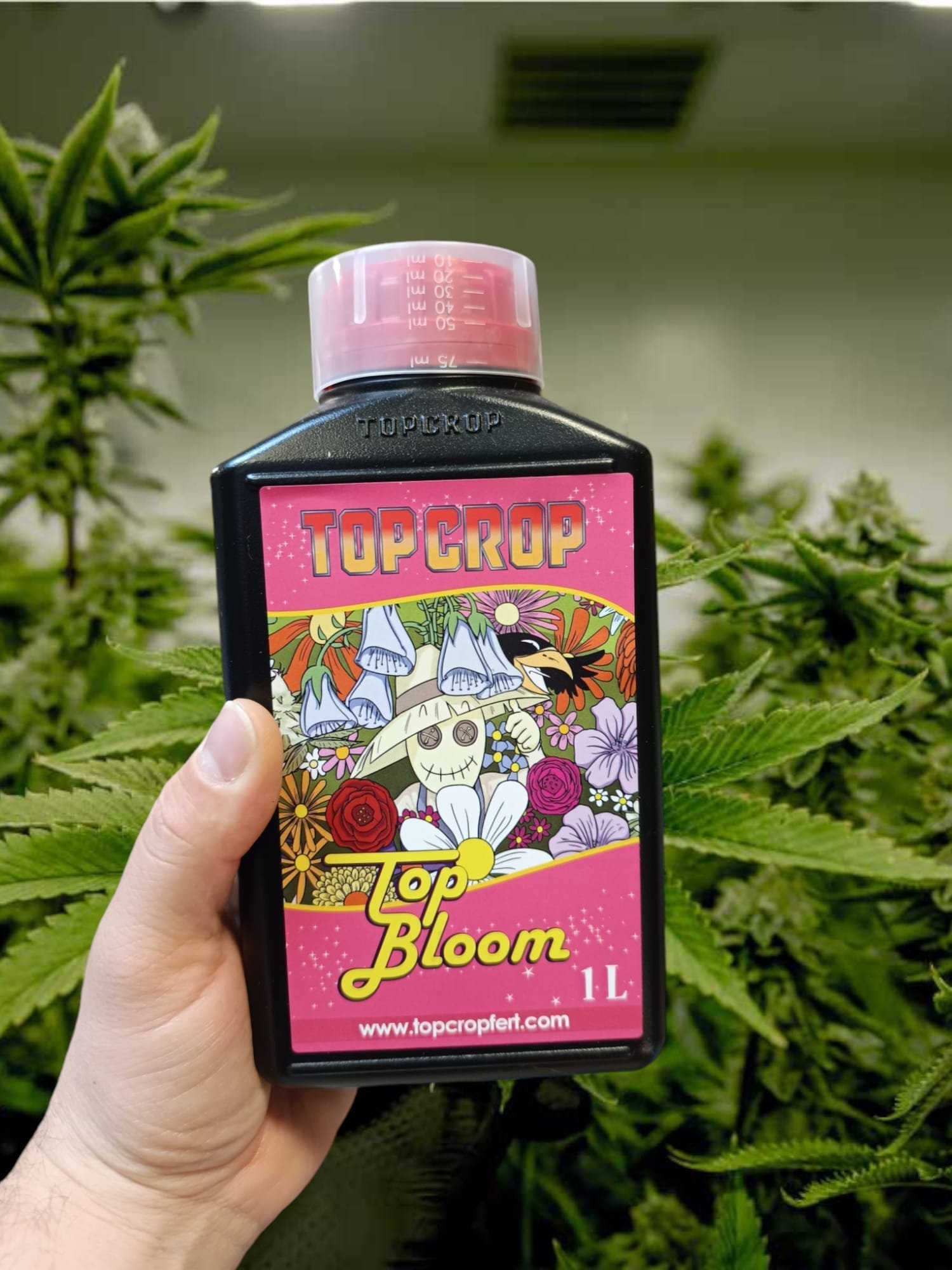 Top Bloom 250ml - 1L - Imagen 3