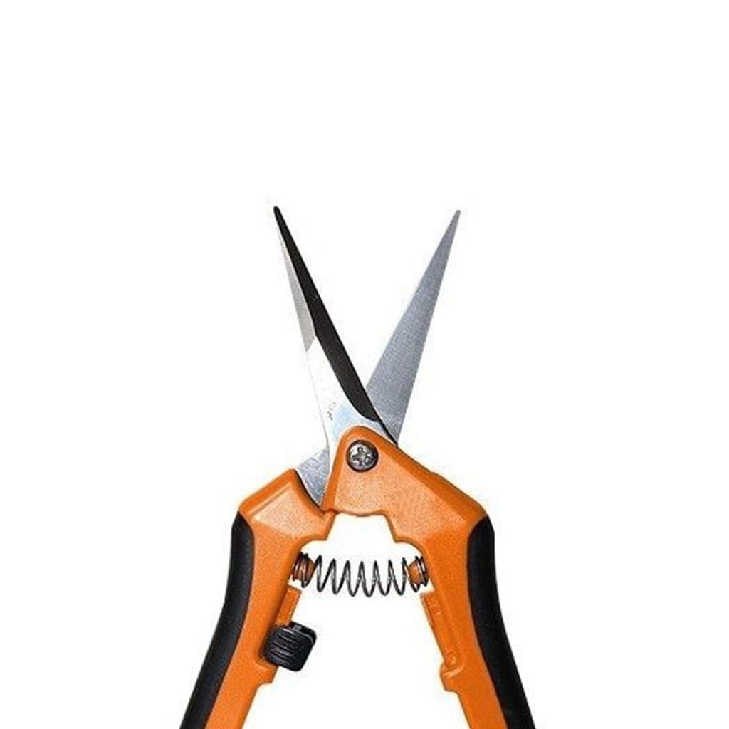 Tijera punta recta - Imagen 2